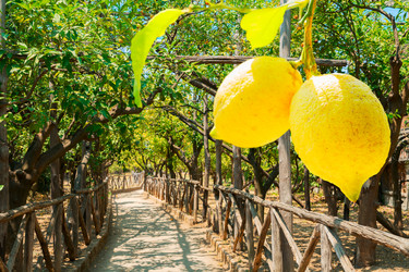 Similar image 20070525