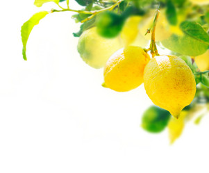 Similar image 20070526