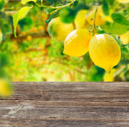 Similar image 20070527