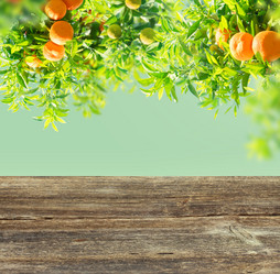 Similar image 20070528