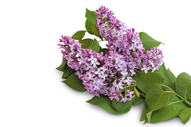 Similar image 20163136