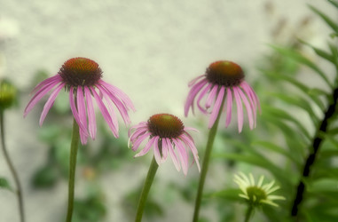 Similar image 20163140