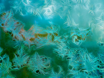 Similar image 19939908