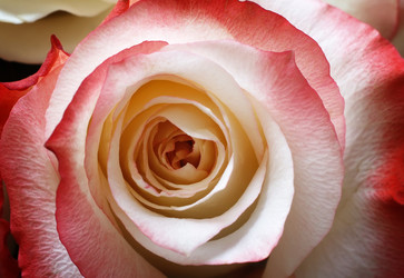 Similar image 20163339