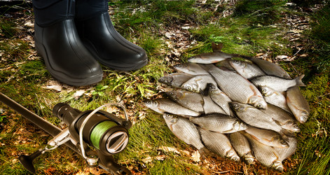 Similar image 20163360