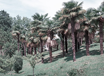 Similar image 20163217