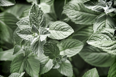 Similar image 20163277