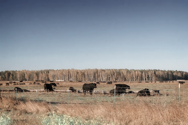 Similar image 20163453