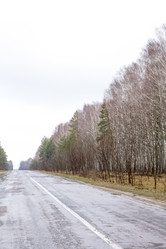 Similar image 20054537