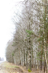 Similar image 20054586