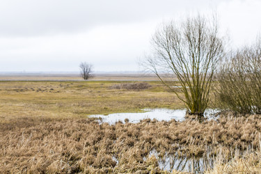 Similar image 20054591