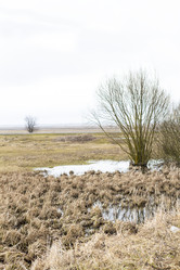 Similar image 20054592