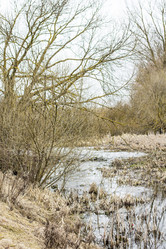 Similar image 20054593