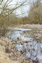 Similar image 20054594