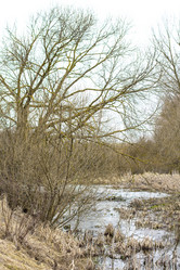 Similar image 20054596