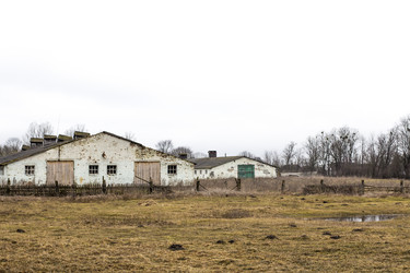 Similar image 20054625