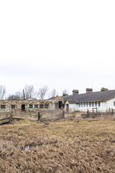 Similar image 20054628