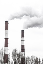 Similar image 20054644