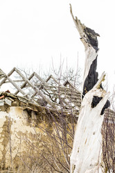 Similar image 20054671