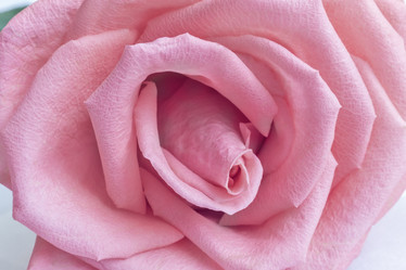 Similar image 20163279