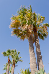 Similar image 20121205