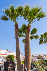 Similar image 20121737