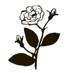 Similar image 20148642