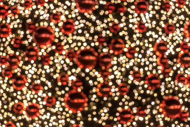 Similar image 20194148