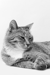 Similar image 20072731