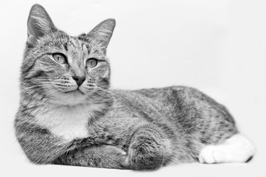 Similar image 20072733