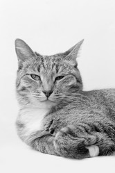 Similar image 20072737