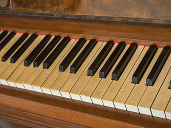 Similar image 19930523