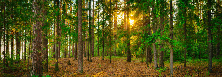 Similar image 20106551