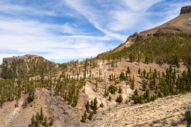 Similar image 20121280