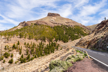 Similar image 20121317