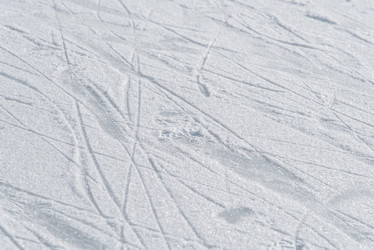 Similar image 20171833