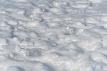 Similar image 20173756