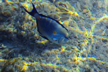 Similar image 19951058