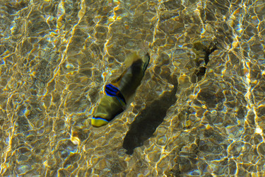 Similar image 19951062