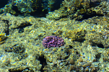 Similar image 19951064