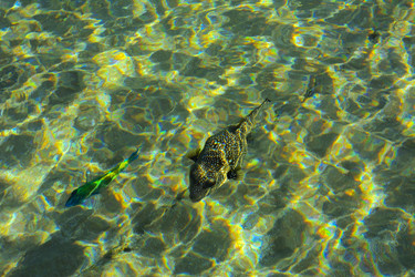 Similar image 19951065