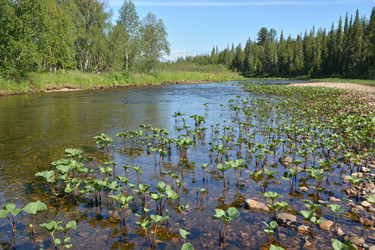 Similar image 20109820