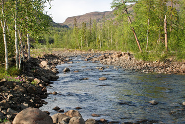 Similar image 20109888