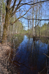 Similar image 20109891