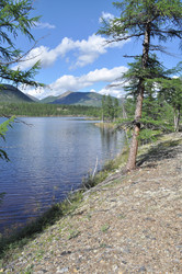 Similar image 20109558