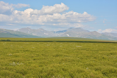 Similar image 20109486