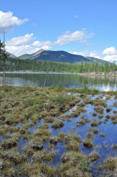 Similar image 20109576