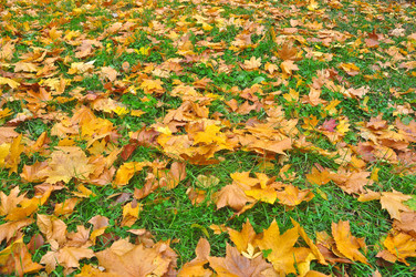 Similar image 20109582