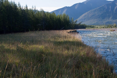 Similar image 20109532