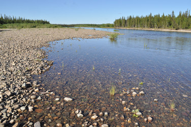 Similar image 20109539